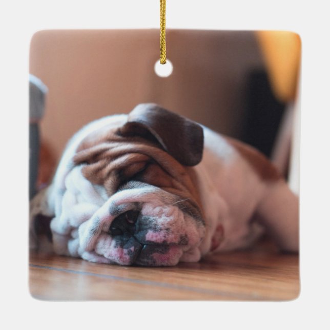 Sleeping Bulldog Bown and White Puppy Ceramic Ornament (Back)