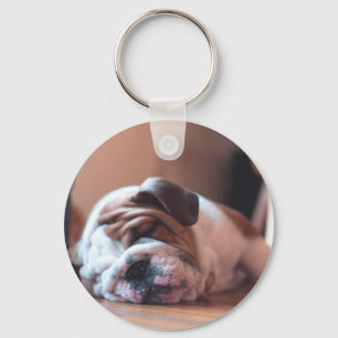 Sleeping Bulldog Bown and White Puppy Key Ring