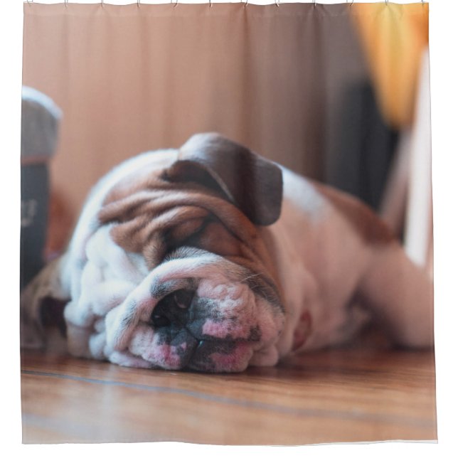 Sleeping Bulldog Bown and White Puppy Shower Curtain (Front)