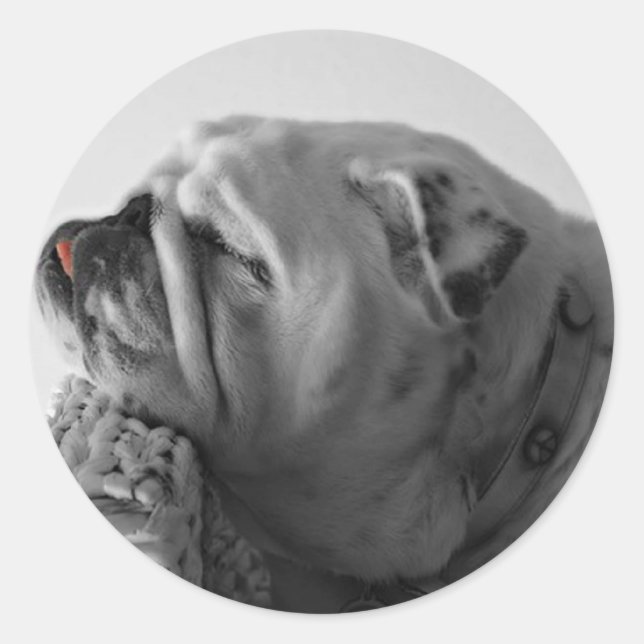 Sleeping Bulldog Classic Round Sticker (Front)