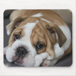 Sleeping Bulldog Mouse Pad