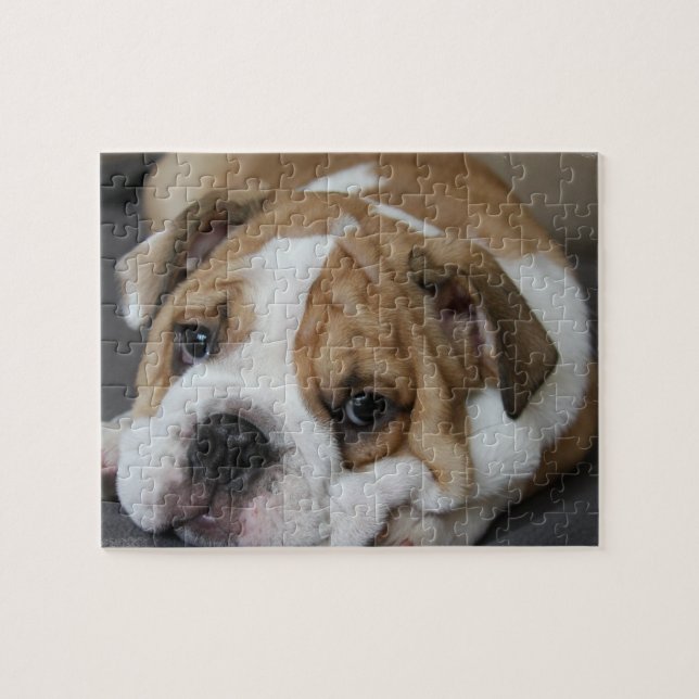 Sleeping Bulldog Puzzle (Horizontal)