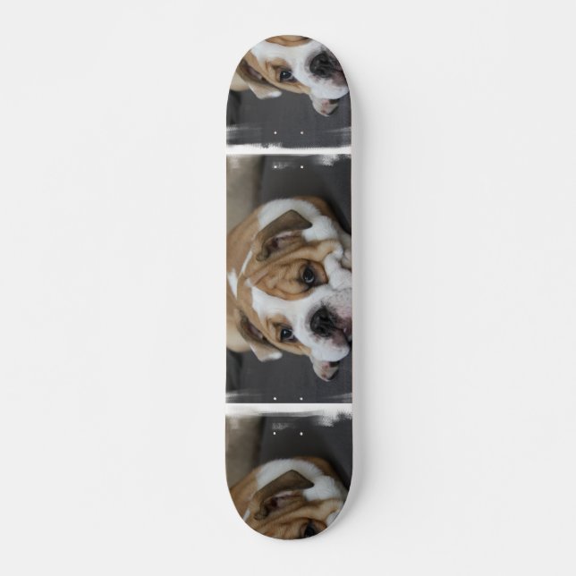 Sleeping Bulldog Skateboard (Front)