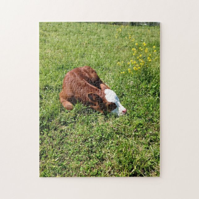 Sleeping Calf Jigsaw Puzzle (Vertical)