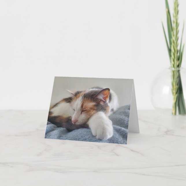Sleeping calico cat card (Front)