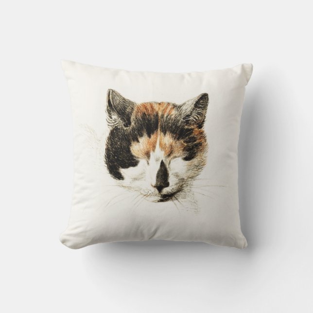Sleeping Calico Cat Cushion (Front)