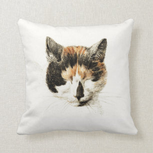 Sleeping Calico Cat Cushion
