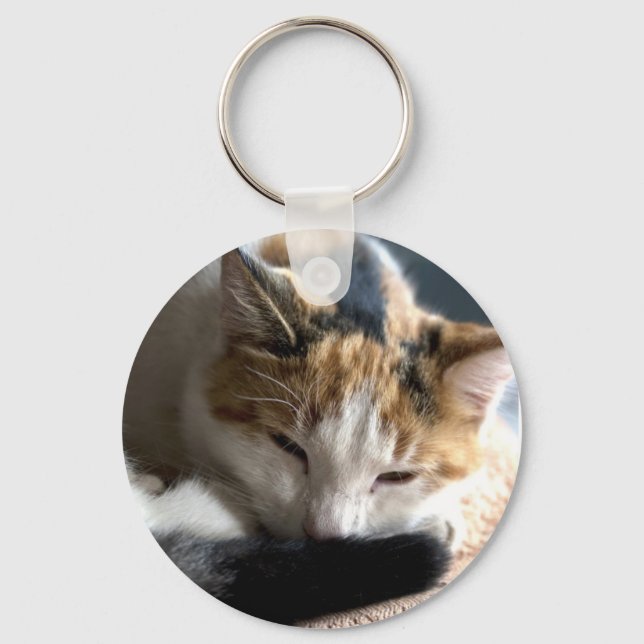 Sleeping Calico Cat Key Ring (Front)
