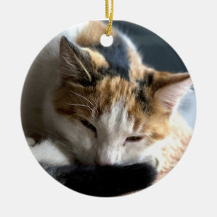 Sleeping Calico Ceramic Ornament