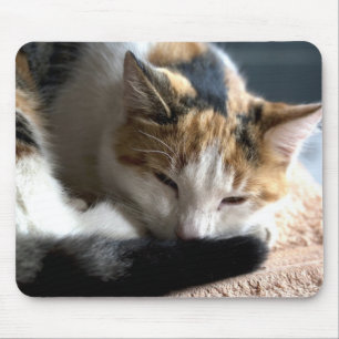 Sleeping Calico Mouse Pad