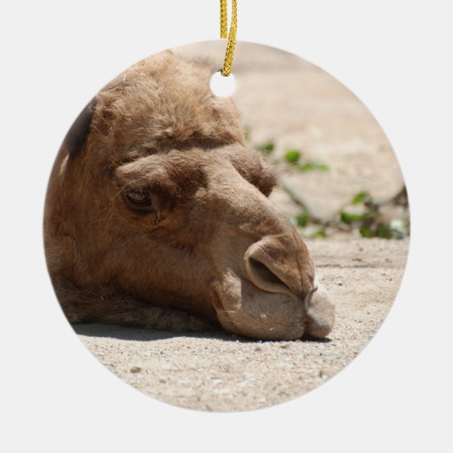 Sleeping Camel Ceramic Ornament (Front)