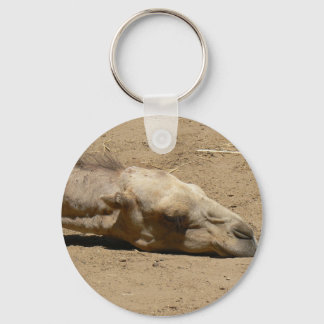 Sleeping camel key ring