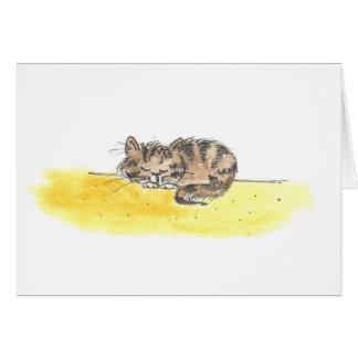 Sleeping Cat