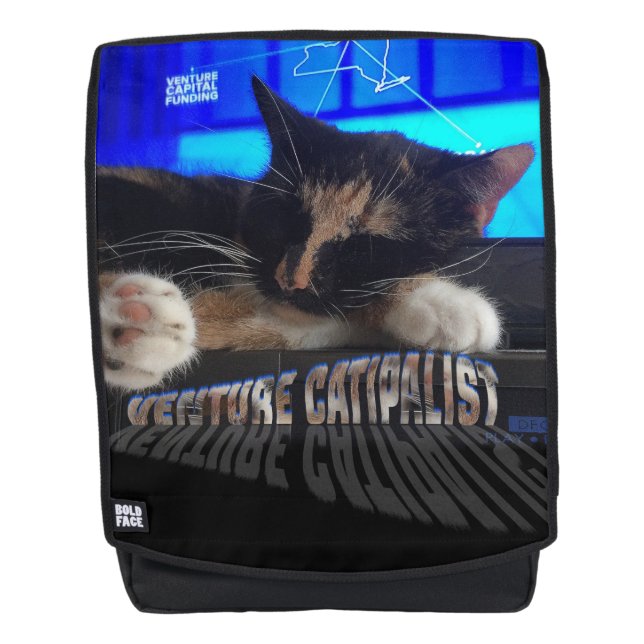 Sleeping Cat Backpack (Front)