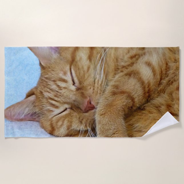 Sleeping Cat Beach Towel (Front)
