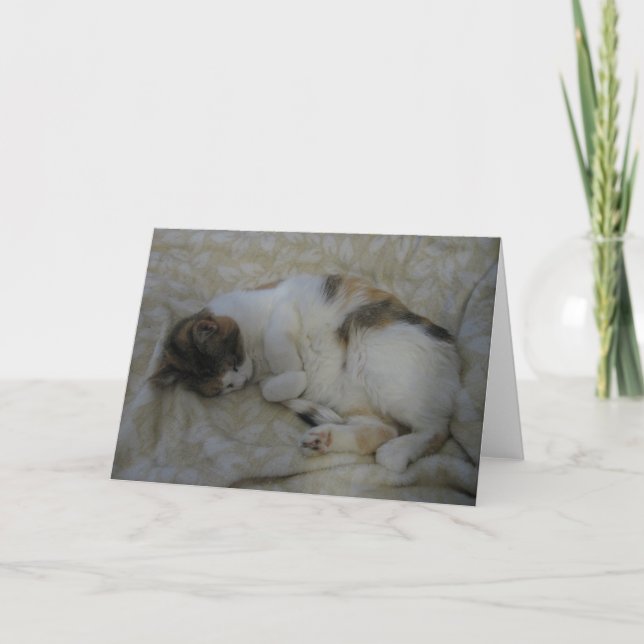 Sleeping Cat Blank Greeting Card (Front)