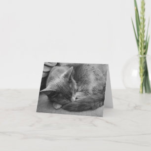 Sleeping Cat card