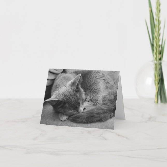 Sleeping Cat card (Front)