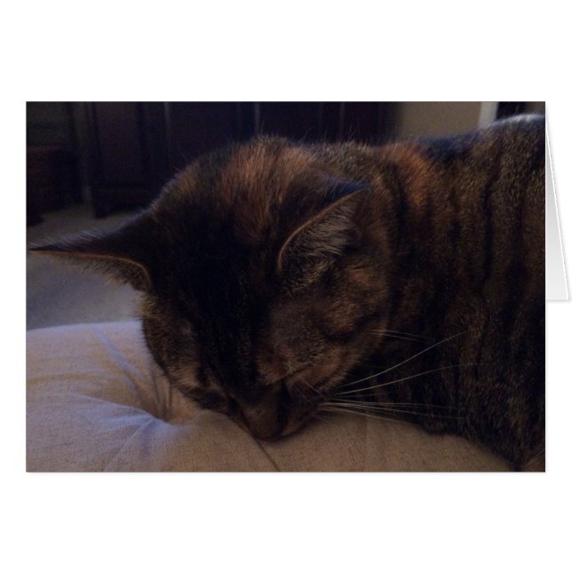 Sleeping Cat, card (Front Horizontal)