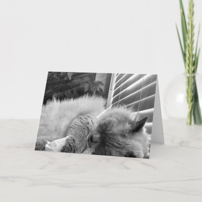 Sleeping Cat, card (Front)