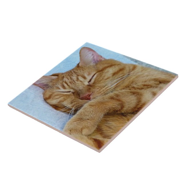 Sleeping Cat Ceramic Tile (Side)