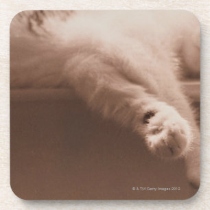 Sleeping Cat Coaster