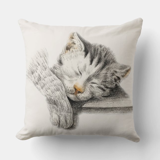 Sleeping Cat Cushion (Front)