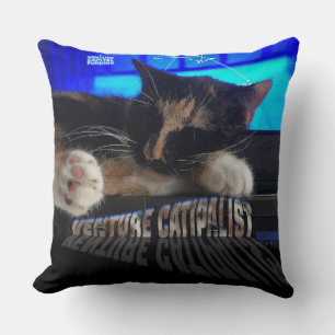 Sleeping Cat Cushion