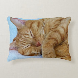 Sleeping Cat Decorative Cushion