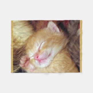 Sleeping Cat Fleece Blanket