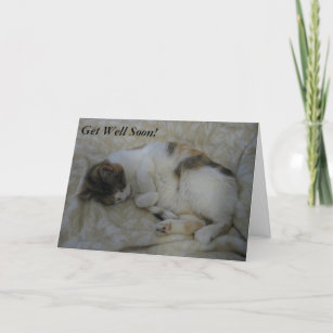 Sleeping Cat Get Well Soon Card #2