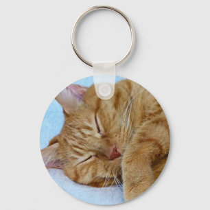 Sleeping Cat Key Ring