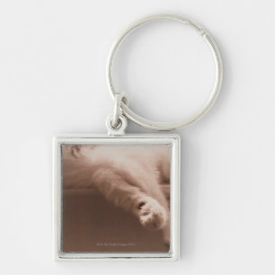 Sleeping Cat Key Ring