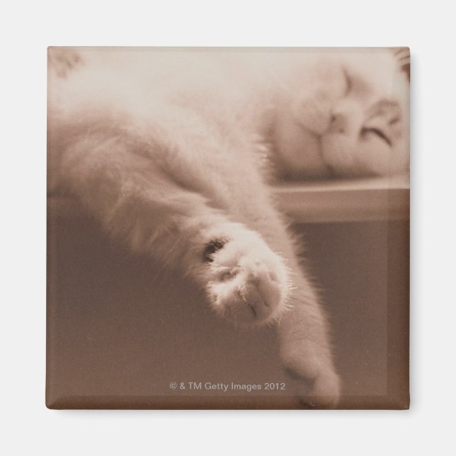 Sleeping Cat Magnet (Front)
