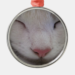 Sleeping Cat Metal Tree Decoration