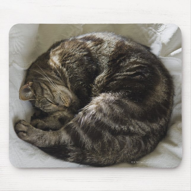 Sleeping cat mouse pad (Front)