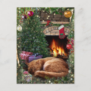 Sleeping Cat next to the Fireplace on Christmas Holiday Postcard