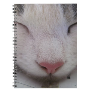 Sleeping Cat Notebook