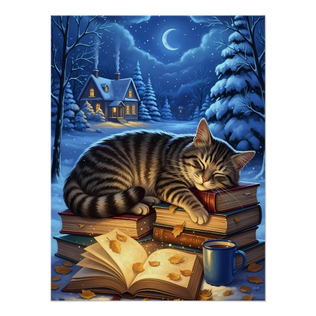 Sleeping Cat on Books Winter Night Poster (Front)