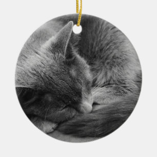 Sleeping cat ornament