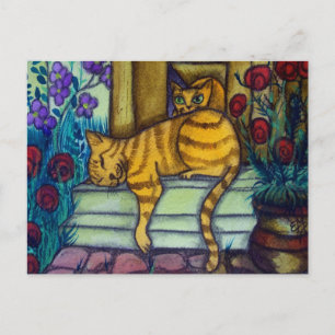 Sleeping Cat Postcard