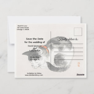 Sleeping Cat  Postcard