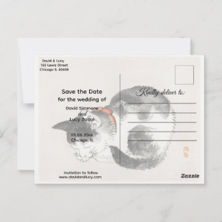 Sleeping Cat Postcard