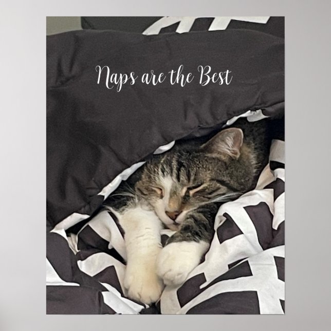 Sleeping Cat Poster (Front)