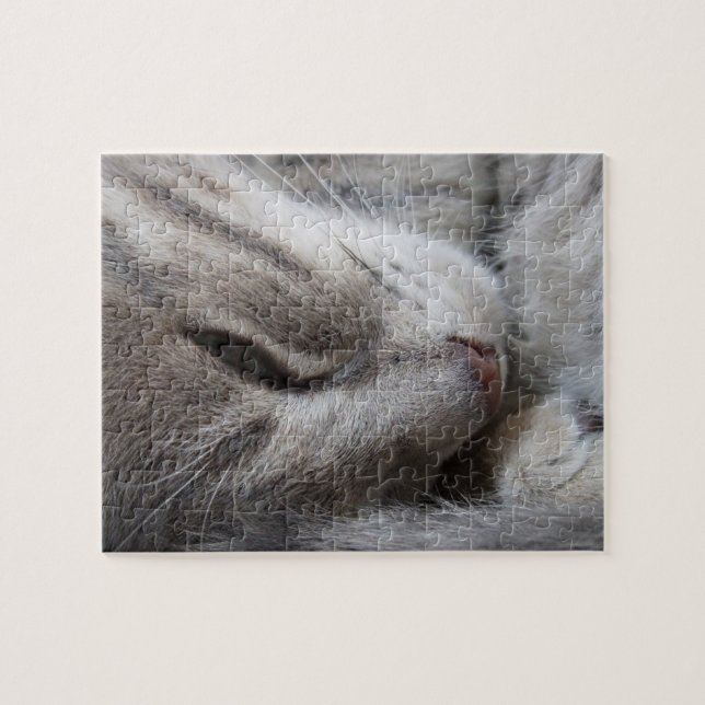 Sleeping Cat Puzzle (Horizontal)