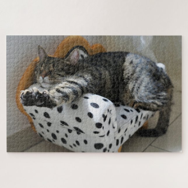 sleeping cat puzzle (Horizontal)