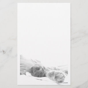 Sleeping Cat Stationery