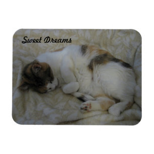 Sleeping Cat-Sweet Dreams Magnet