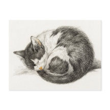 Sleeping Cat Vintage illustration