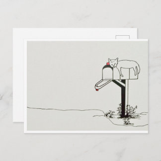 Sleeping Cat Waiting for Some Mail Postcard